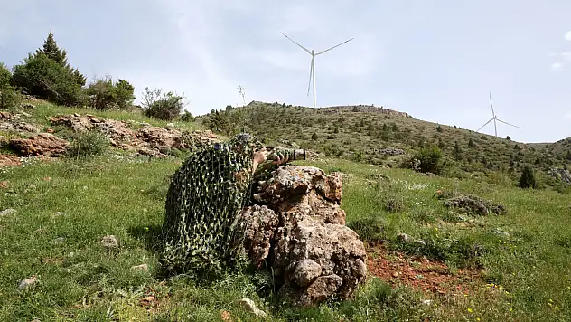Bak şu öğretmenin yaptığına! Sesleri tek tek kaydetti