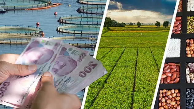Bakanlık açıkladı: Çiftçilere rekor ödeme
