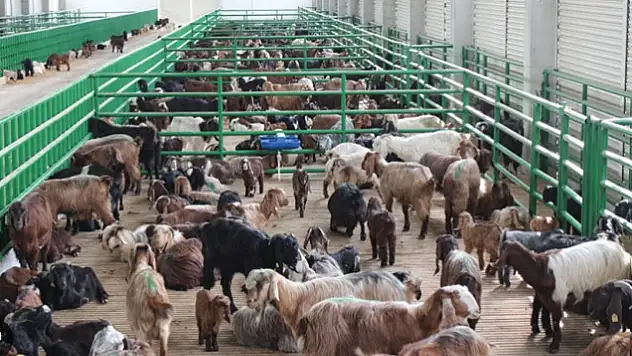 Bakanlık açıkladı: Destekten yararlanacaklar belli oldu
