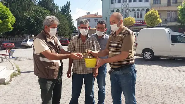 Nesli tükenmekte olan Balaban kuşunu kurtardılar...