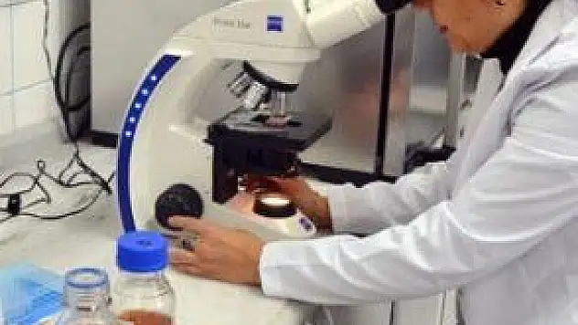 'BALI BİR ŞEKER GİBİ GÖRMEK ÇOK BÜYÜK YANILGIDIR'