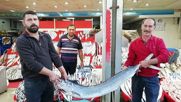 Balıkçı Oktay Yılmaz:'Kalbe iyi gelen omega 3 kaynağı hamsi, bu sene hem bol hem de iri olacak'

