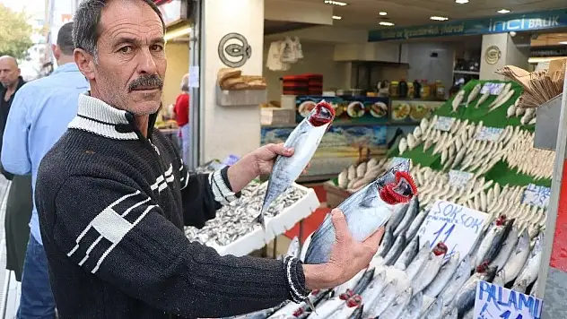 Balıkçılarda 'Palamut' yoğunluğu
