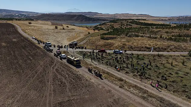 Baraj kenarında bin 500 fidan dikildi!