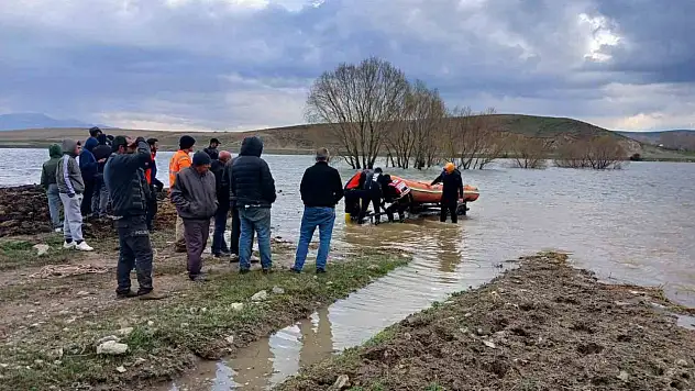 Sular yükseldi, inek mahsur kaldı