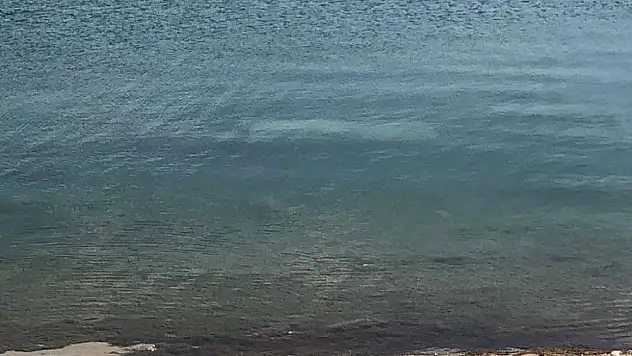 Barajdan çalıntı kamyonet çıktı