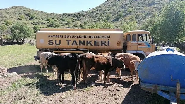 Su isyanını Kayseri'de duyuramayınca Japonlar'a duyurmuştu! Karantinaya girince bakın ne oldu?