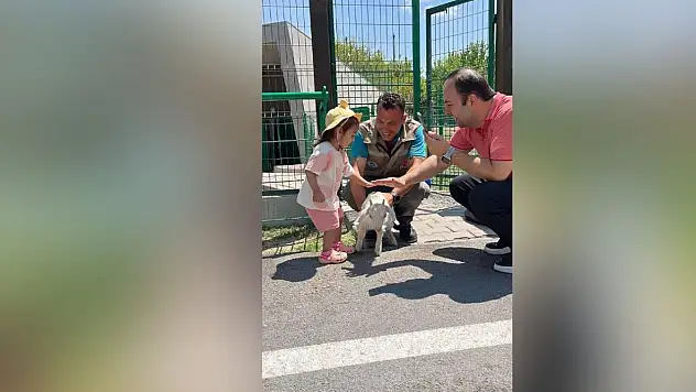 Başkan Büyükkılıç'tan alkışlatan proje! Çocukların ilk defa görmesini sağladı