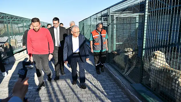 Başkan Büyükkılıç'tan sahipsiz hayvanlara destek