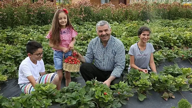 Başkan Çelik'ten organik ürün çağrısı!
