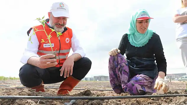Türkiye'ye örnek olacak!