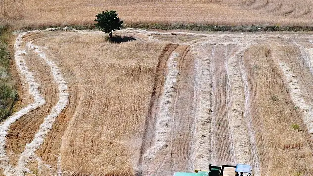 Kocasinan'dan milli ve yerli tohum atağı