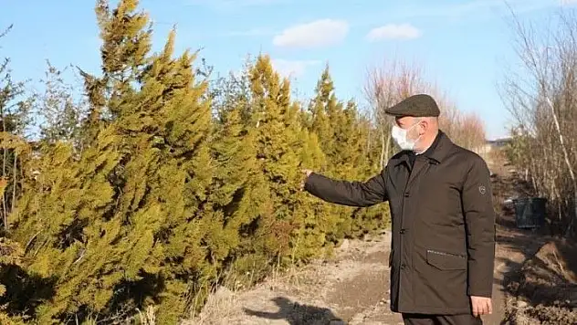 Başkan Çolakbayrakdar: 'Yemyeşil bir Kocasinan inşa ediyoruz'