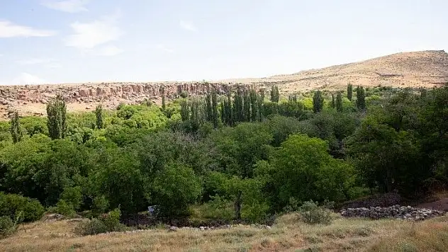 Başkan'dan Koromaz çıkışı: İstedikleri gibi kazamazlar!