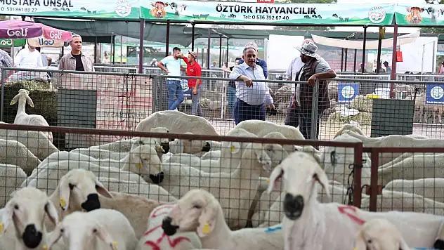 Başkan Yalçın ile 'Batakçı Bünyamin'in dikkat çeken diyalogu!