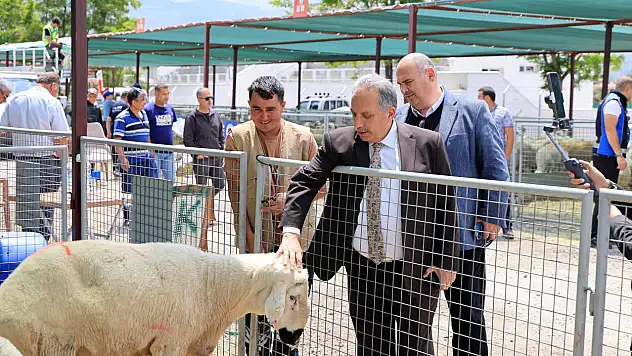 Başkan Yalçın kurban pazarını ziyaret etti