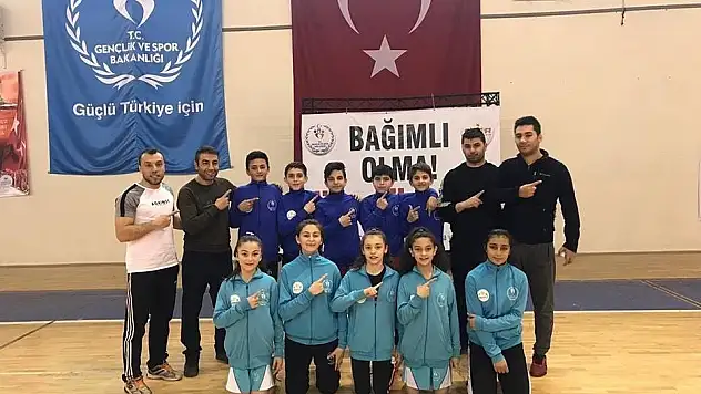 Basminton Analigde yarı finalde