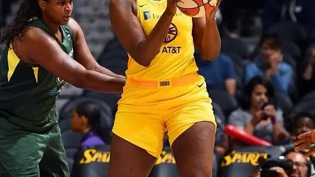 Bellona Kayseri Basketbol Brown'u bekliyor