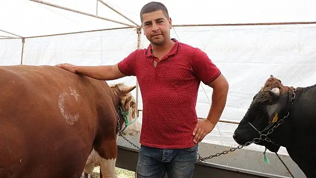 Besiciler satışlardan memnun, yem fiyatlarından şikayetçi
