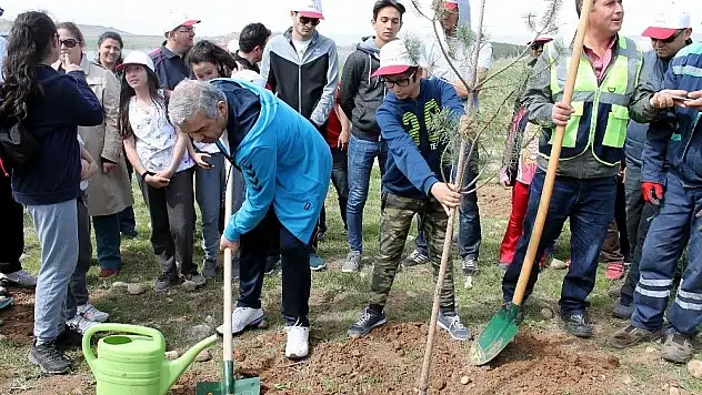 20 bin kişinin katılımıyla 10 bin fidan toprak ile buluştu