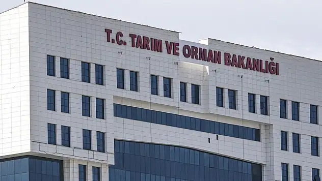 Bisküvi ve krakerde yeni dönem!