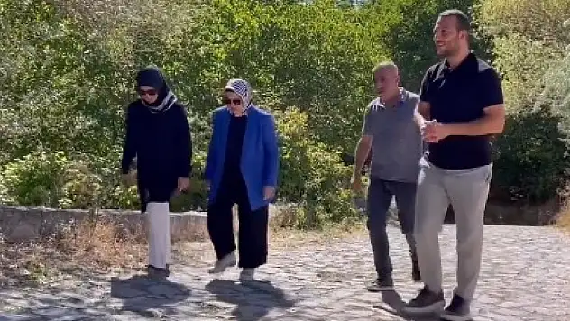 Böhürler, Ağırnas'a neden gitti?