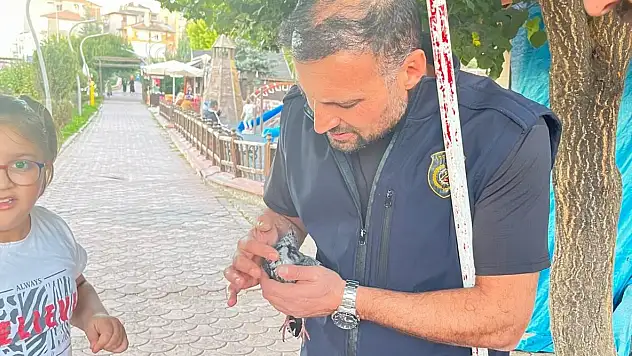 Boruya sıkışan kuş kurtarıldı!