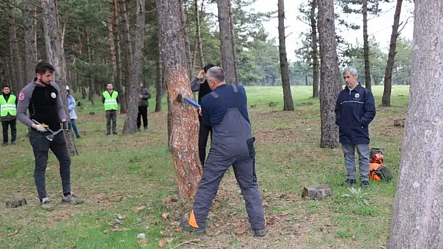 Bu adamlar ne yapıyor?