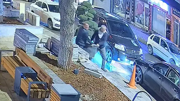 Pes dedirten hırsızlık: Parktaki saksılı ağacı alıp gittiler