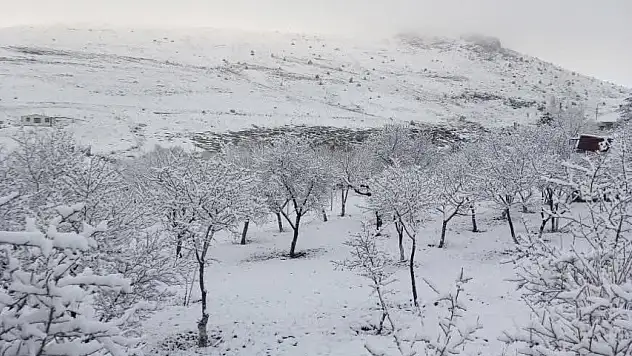 Bu fotoğraflar Kayseri'de çekildi! Nisan karı ilçeleri beyaza bürüdü