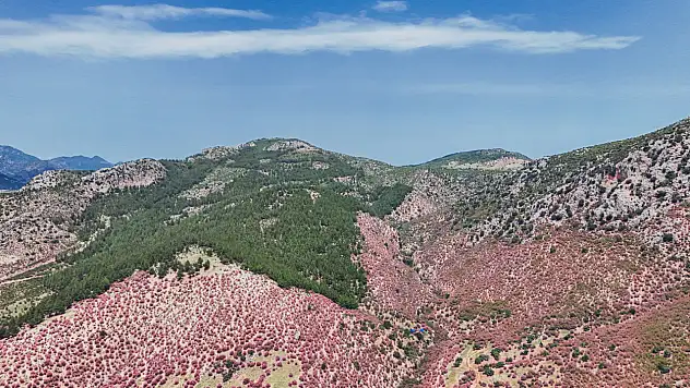 Bu görüntüler Kayseri'nin komşusunda çekildi!