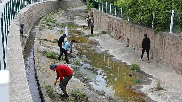 Bu insanlar ne yapıyor?