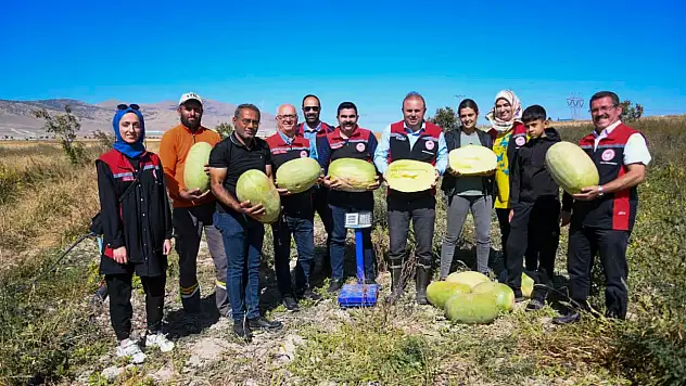 Bu karpuzlar Kayseri'de yetişiyor