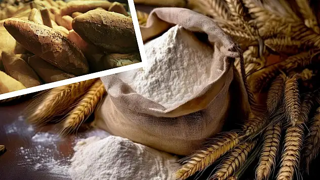 Buğday ununa ve ekmeğe neler katılıyordu? İşte yasaklanan o maddeler