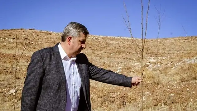 Bünyan'da ballı iş!