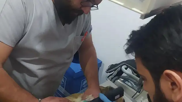 Bünyan'da hayat kurtaran operasyon