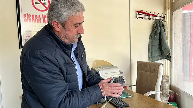 Bünyan'da kuş kurtarma operasyonu