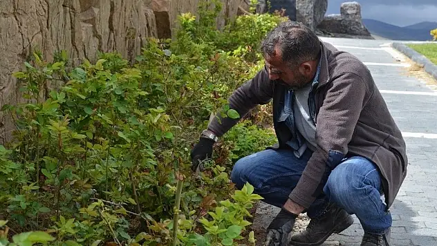Bünyan'da yeşil alanlar ve parklarda çalışmalar devam ediyor
