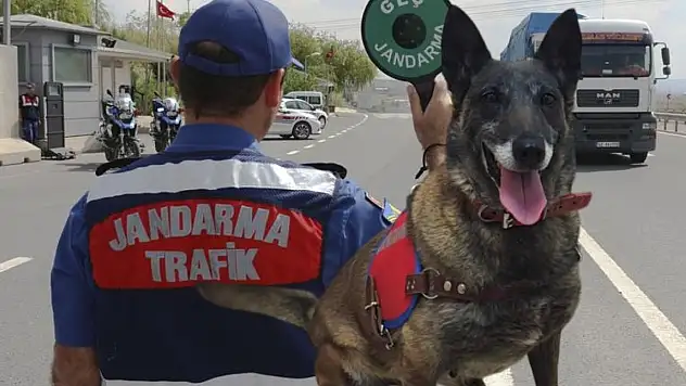 Burnuna sağlık: Durdurulan TIR'da zulaları tek tek patlattı!