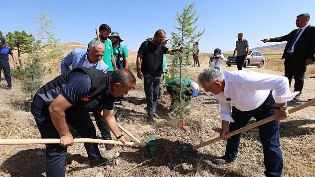 Büyükkılıç fidan dikti