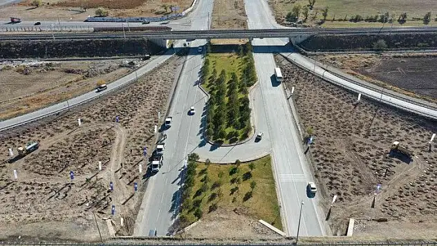 Büyükşehir 15 bin fidanı toprakla buluşturdu