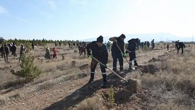 Büyükşehir Ulaşım A.Ş.'den Hatay'a 700 fidan