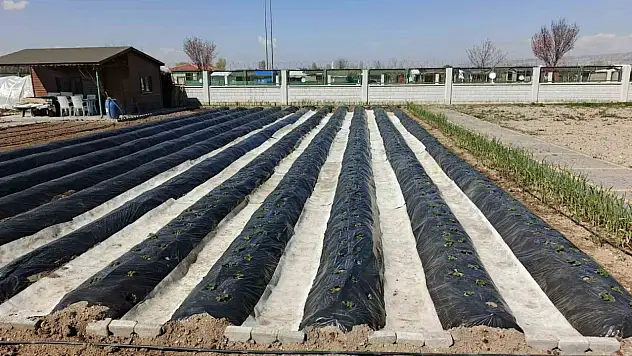 Doğal Ürünler Bahçesi'nde yeni sezon hazırlığı: toprakla buluşma vakti
