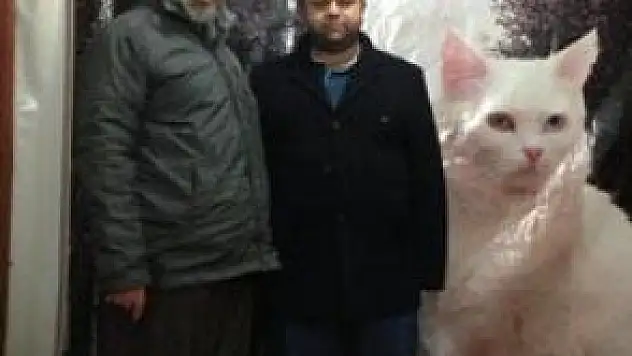 ÇAMDALLI SERBEST BIRAKILDI!