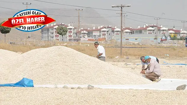 Çekirdekli senet dolandırıcılığı!