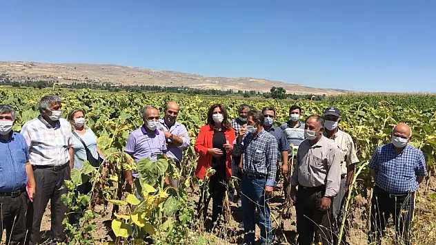 CHP GÜNDEME GETİRDİ! O BÖLGEDE ÇİFTÇİ DÖNÜM BAŞINA 560 TL PARA CEZASI İLE KARŞI KARŞIYA…
