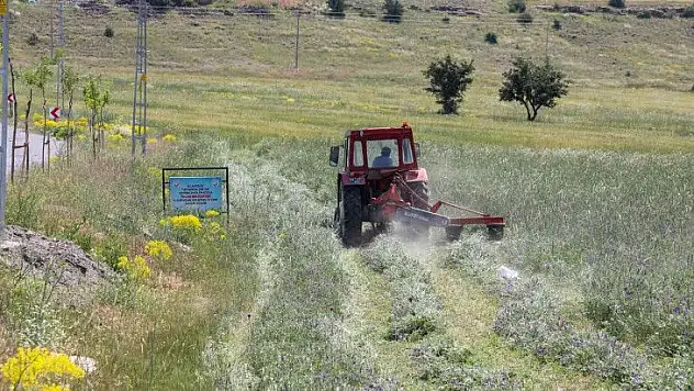 Talas'ta hasat başladı...
