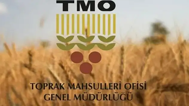 Çiftçinin beklediği haber geldi! TMO ödeme tarihini açıkladı