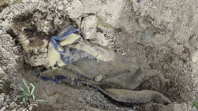 Battaniyeye sarılarak gömülmüş erkek cesedi bulundu