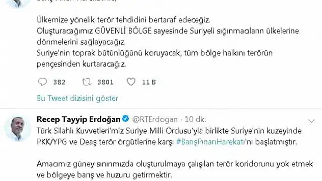 Cumhurbaşkanı Erdoğan: &quotBarış Pınarı Harekatı başladı&quot